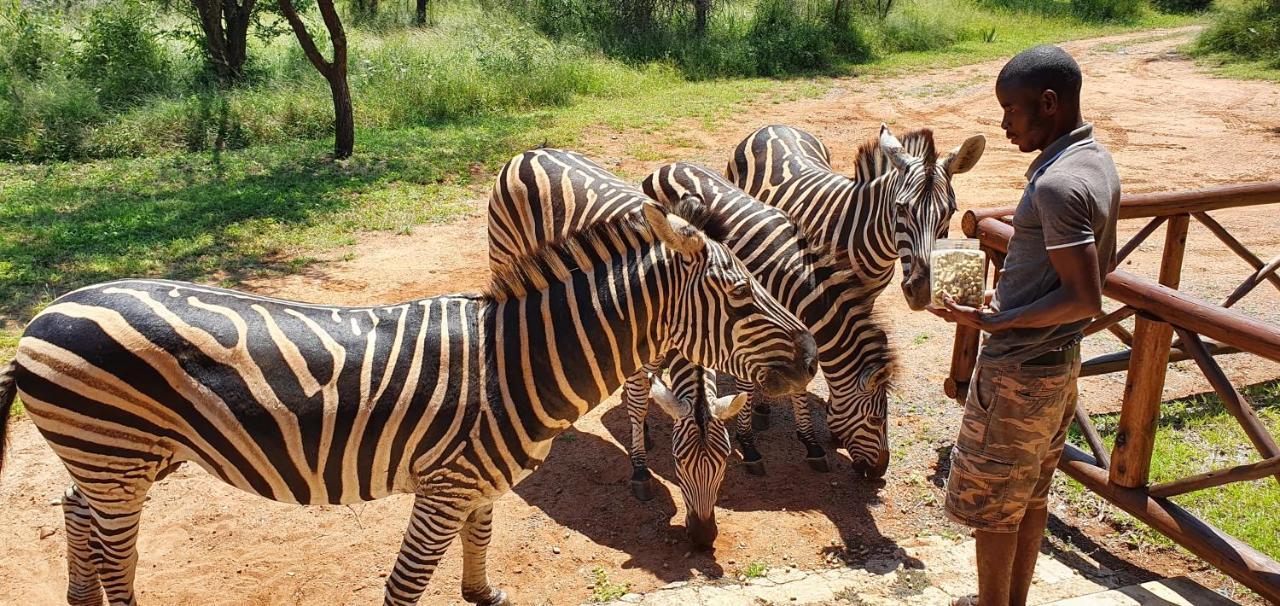 Giraffe Plains Vila Marloth Park Exterior foto