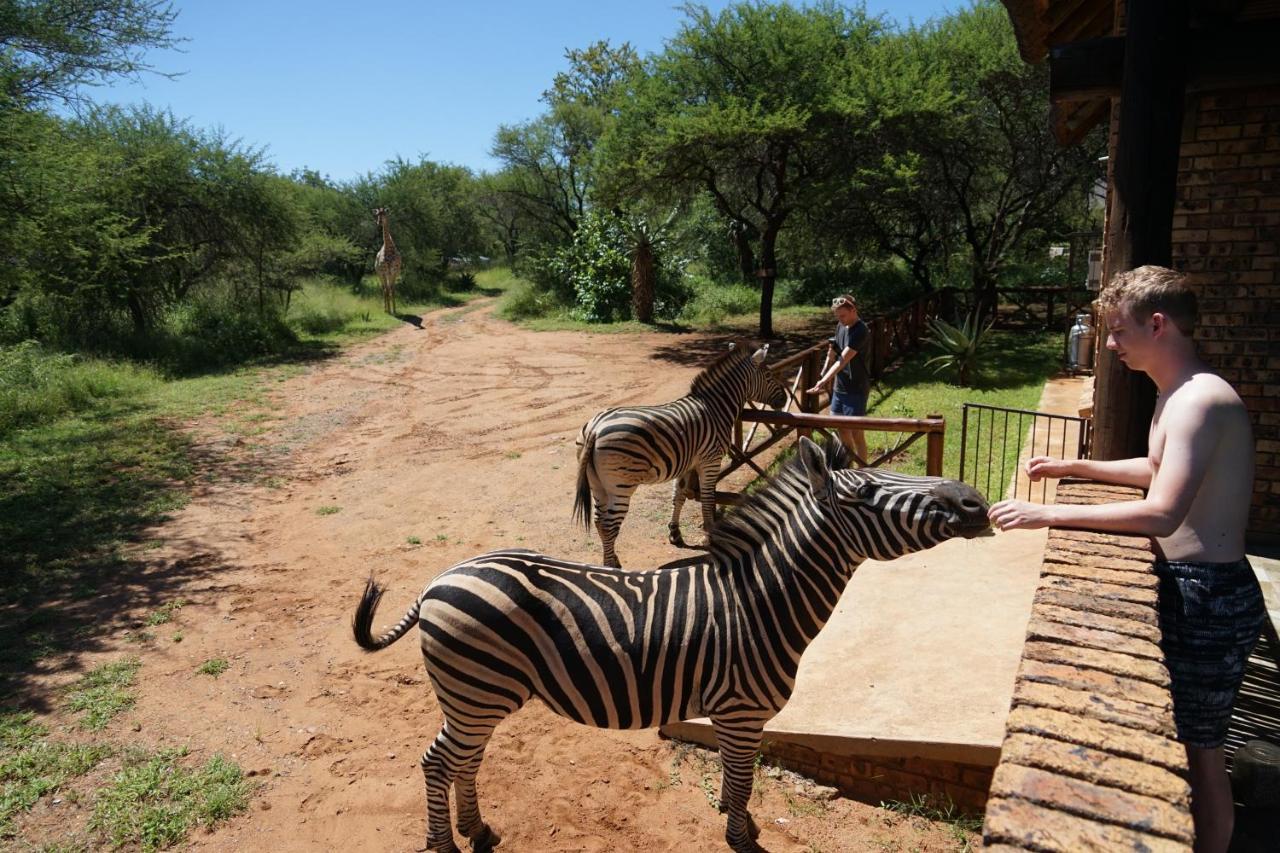 Giraffe Plains Vila Marloth Park Exterior foto