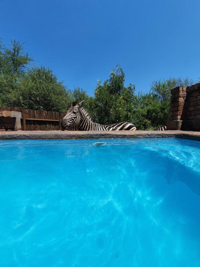 Giraffe Plains Vila Marloth Park Exterior foto