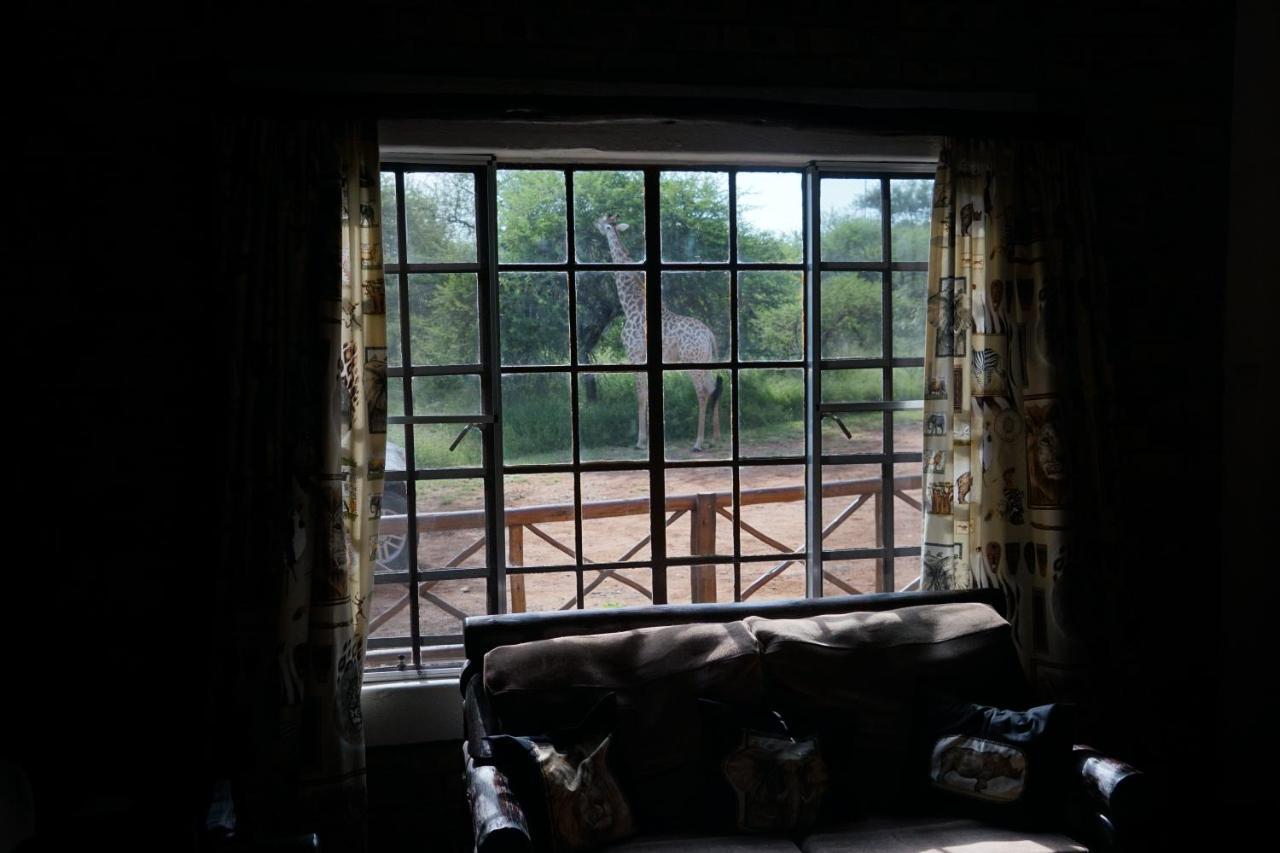 Giraffe Plains Vila Marloth Park Exterior foto