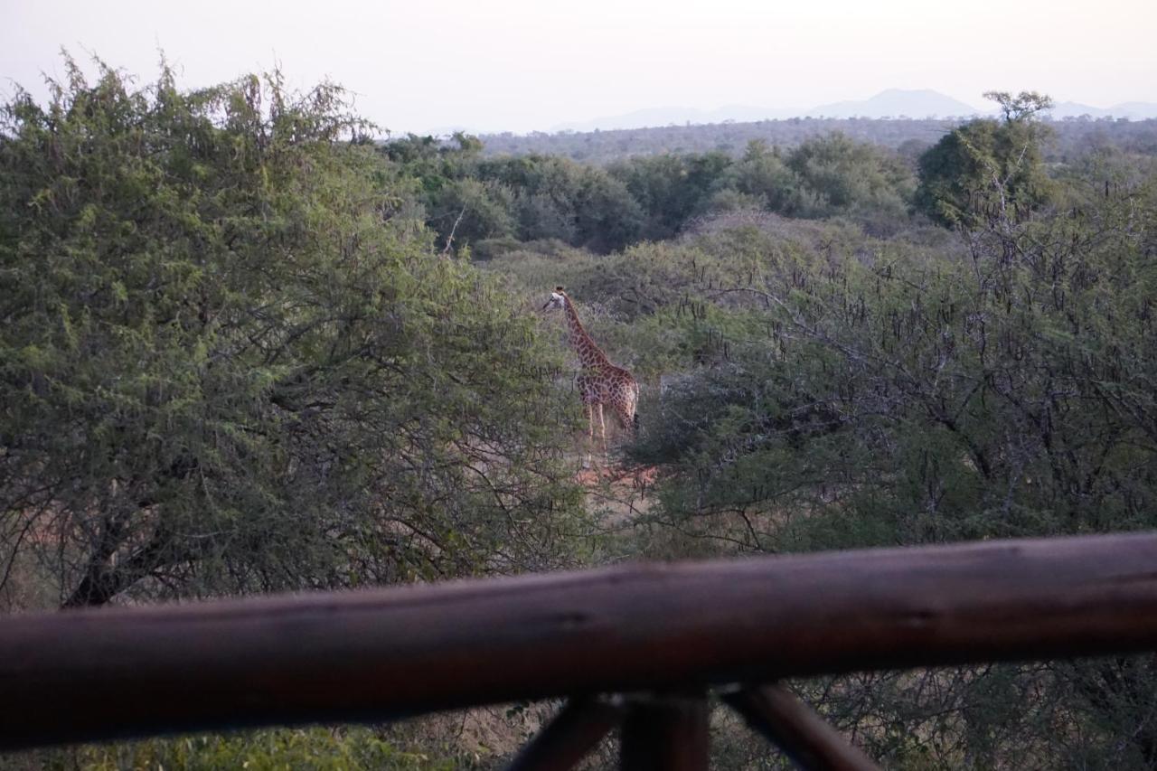 Giraffe Plains Vila Marloth Park Exterior foto