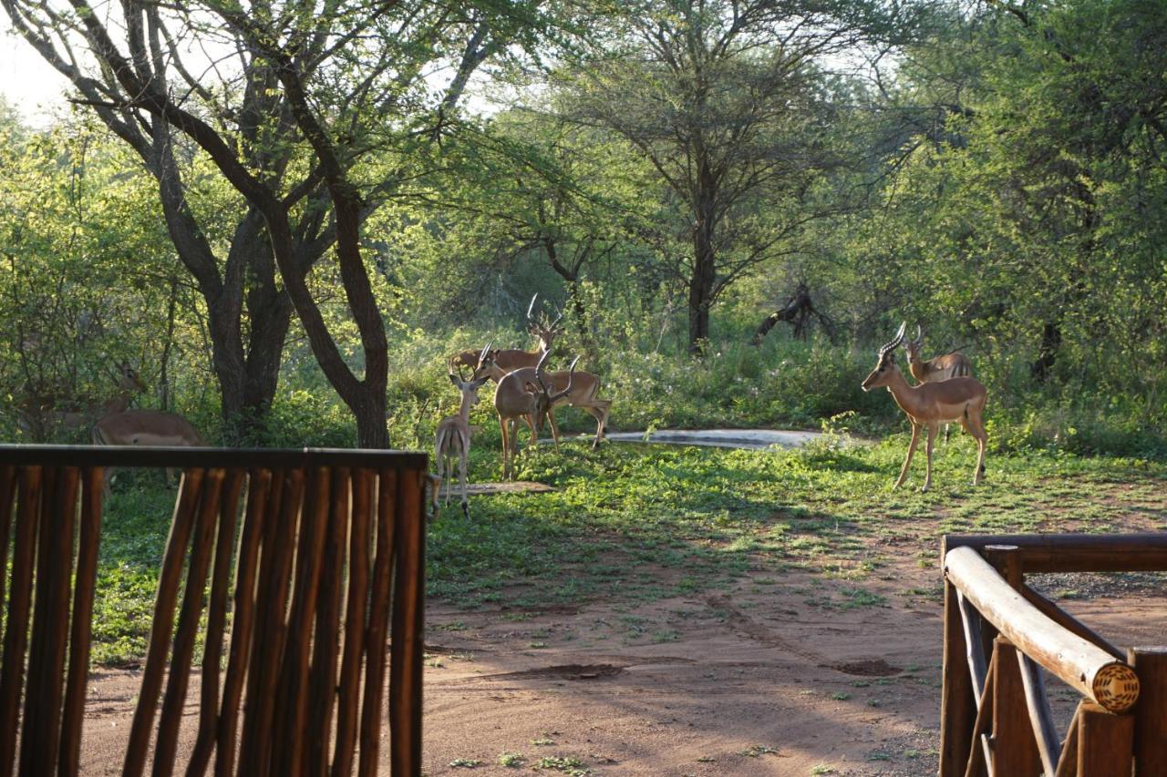 Giraffe Plains Vila Marloth Park Exterior foto