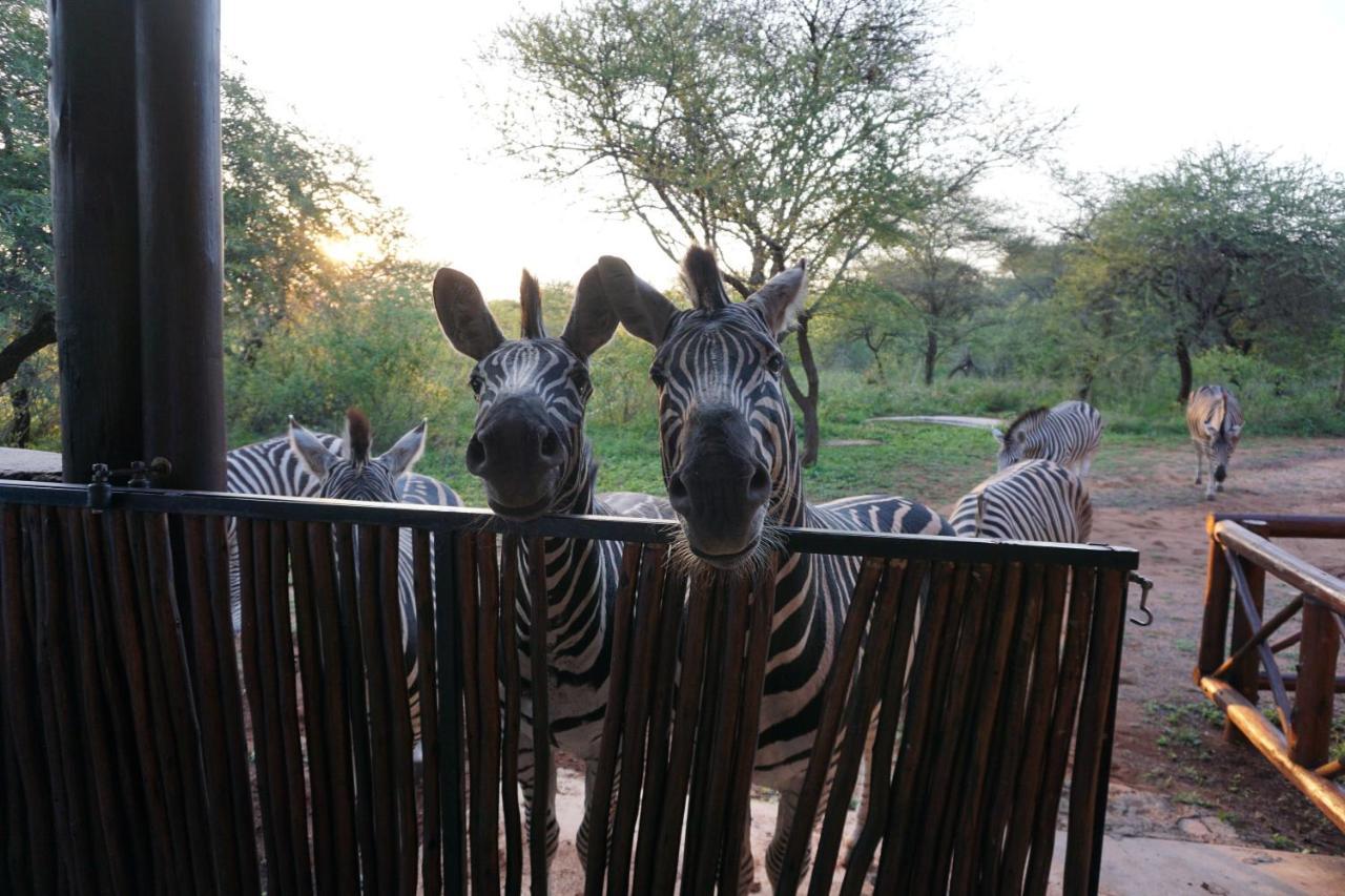 Giraffe Plains Vila Marloth Park Exterior foto