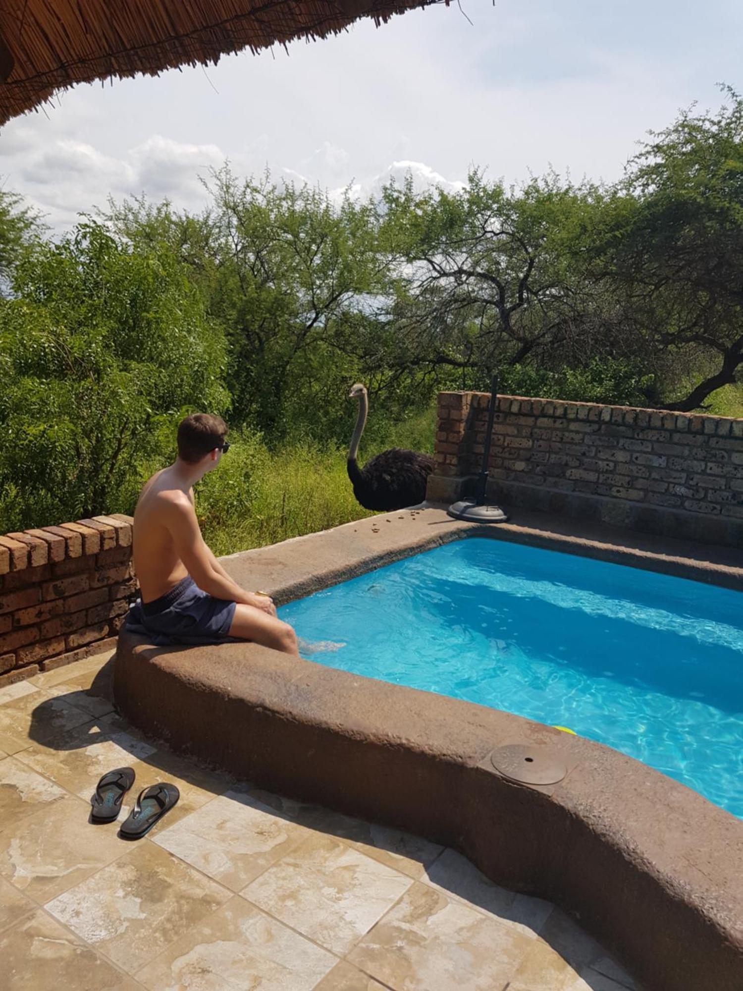 Giraffe Plains Vila Marloth Park Exterior foto